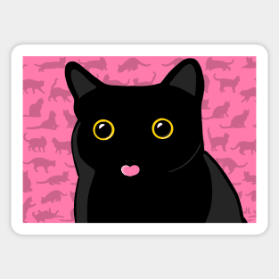 Black Cat Hearts You Sticker